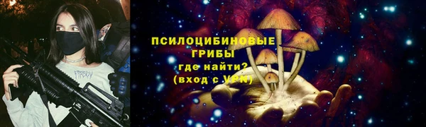 гидра Арсеньев