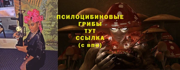 прущий лед Аркадак