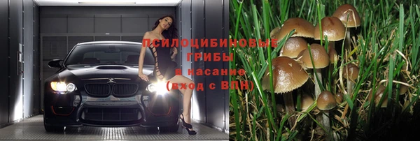 прущий лед Аркадак
